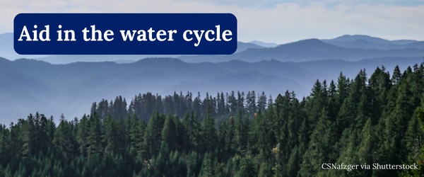 Aid in the water cycle