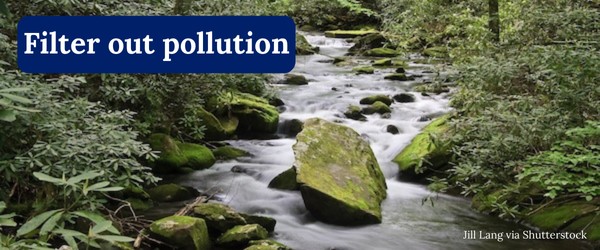 Filter out pollution