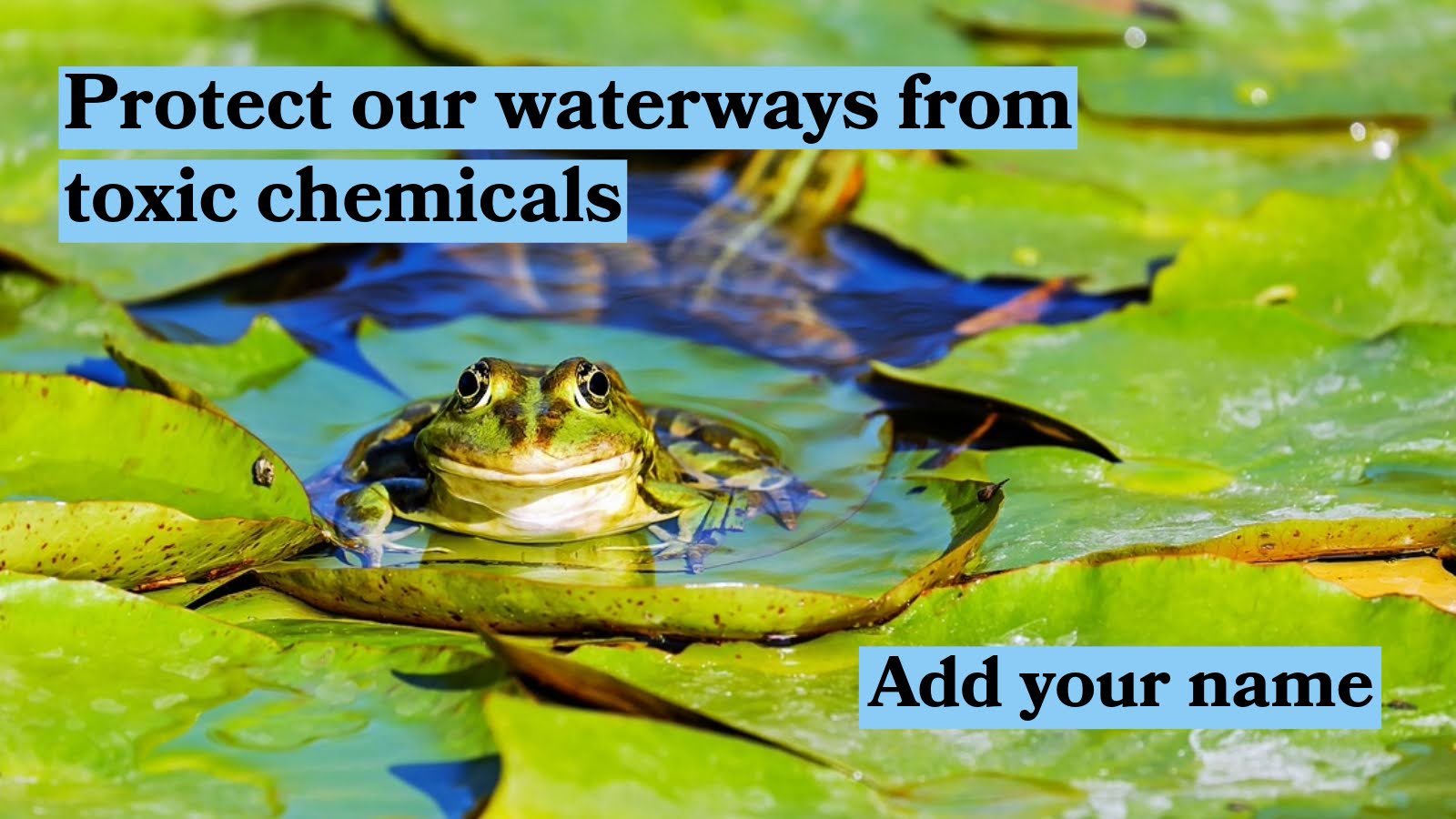 protect our waterways from toxic chemicals. Add your name