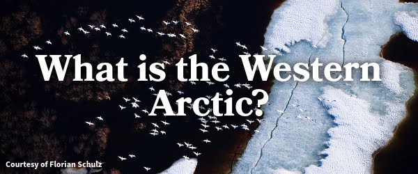 What is the Western Arctic?