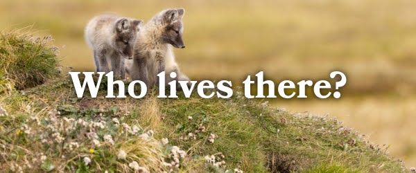 Who lives there?