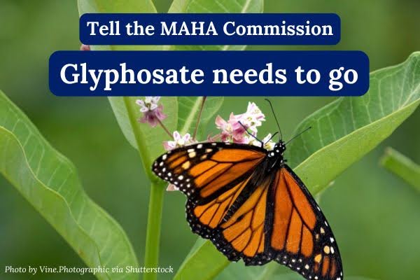 Tell the MAHA Commission: Glyphosate needs to go