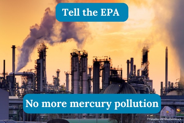Tell the EPA: No more mercury pollution