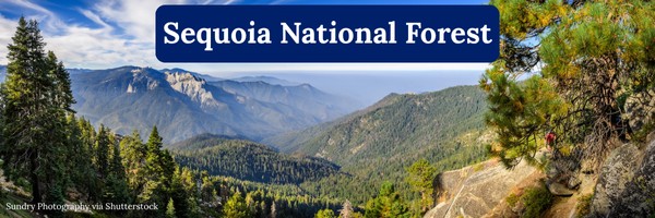 Sequoia National Forest