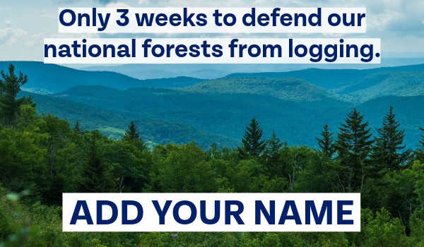 Only 3 weeks to defend our national forests from logging. ADD YOUR NAME