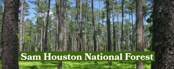 Sam Houston National Forest
