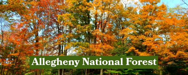 Allegheny National Forest