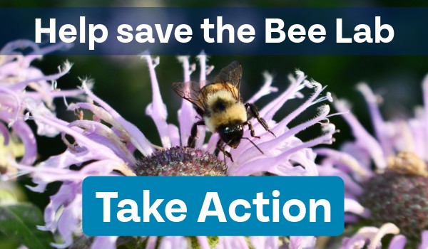 Help save the Bee Lab. Take Action