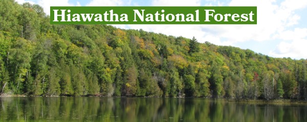 Hiawatha National Forest