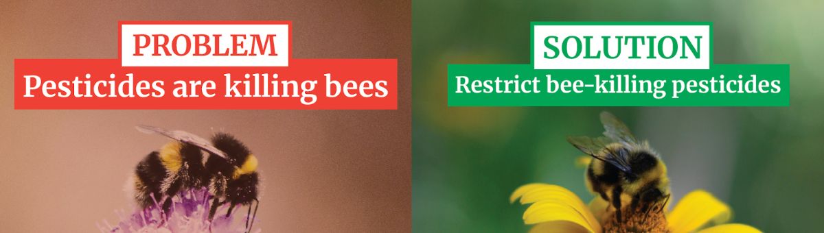 Problem: Pesticides are killing bees. Solution: Restrict bee-killing pesticides