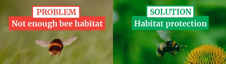 Problem: Not enough bee habitat. Solution: Habitat protection