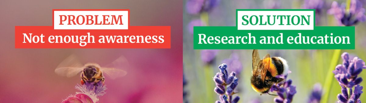 Problem: Not enough awareness. Solution: Research and education