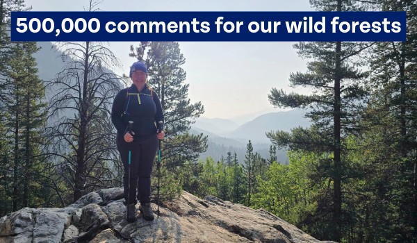 500,000 comments for our wild forests