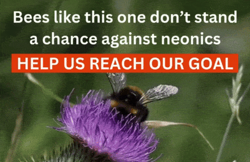 Bees like this one don't stand a change against neonics. Help us reach our goal.