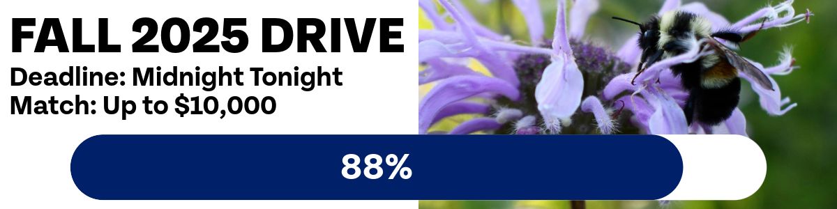 Fall 2025 Drive. Deadline: Midnight Tonight. Match: Up to $10,000