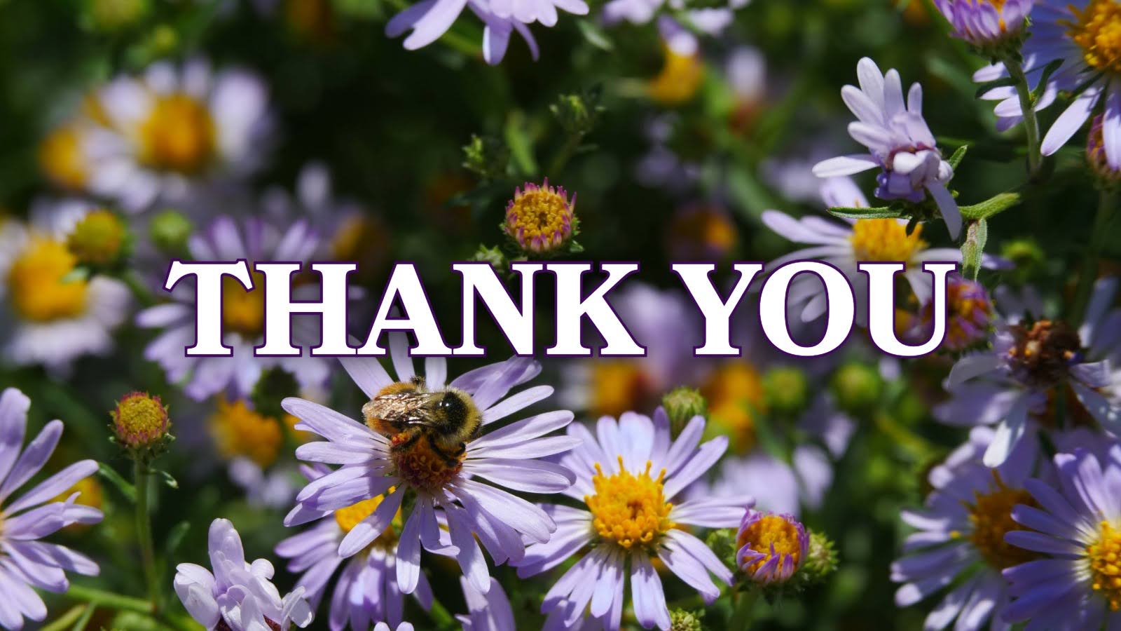 Thank You
