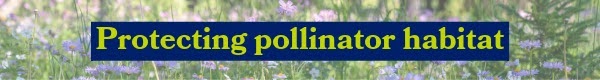 Protecting pollinator habitat