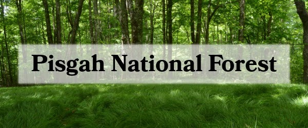 Pisgah National Forest