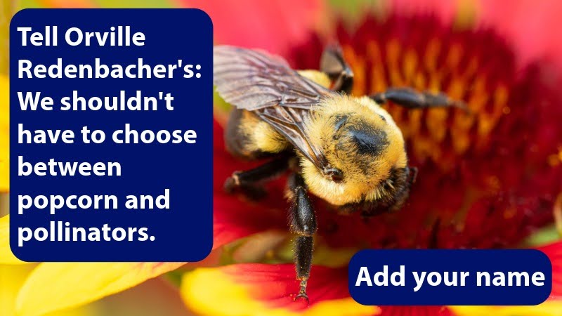 Tell Orville Redenbacher's: We shouldn't have to choose between popcorn and pollinators. Add your name