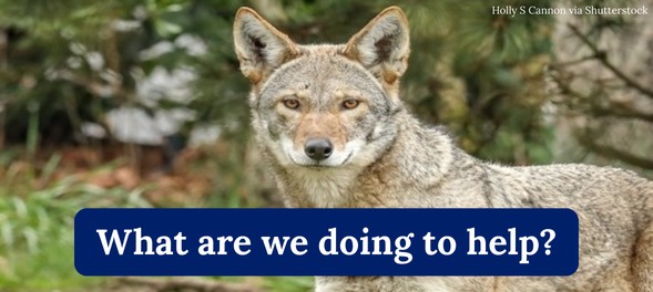 What are we doing to help?