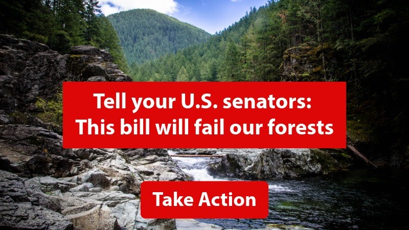 Tell your U.S. senators: This bill will fail our forests. Take Action