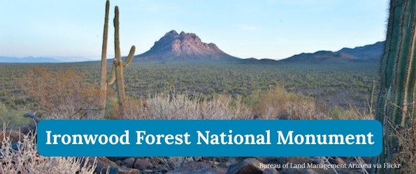 Ironwood Forest National Monument