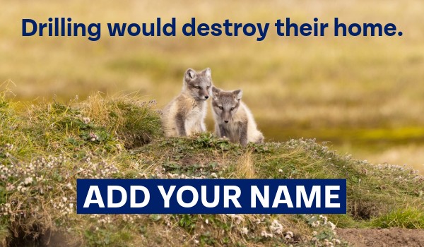 Drilling would destroy their home. Add your name