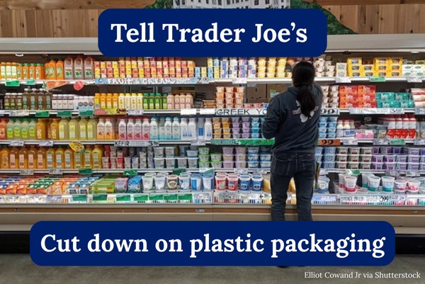 Tell Trader Joe's to cut down on plastic packaging