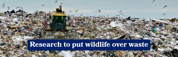 Research to put wildlife over waste