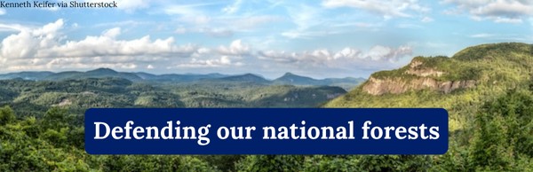 Defending our national forests