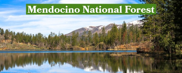 Mendocino National Forest