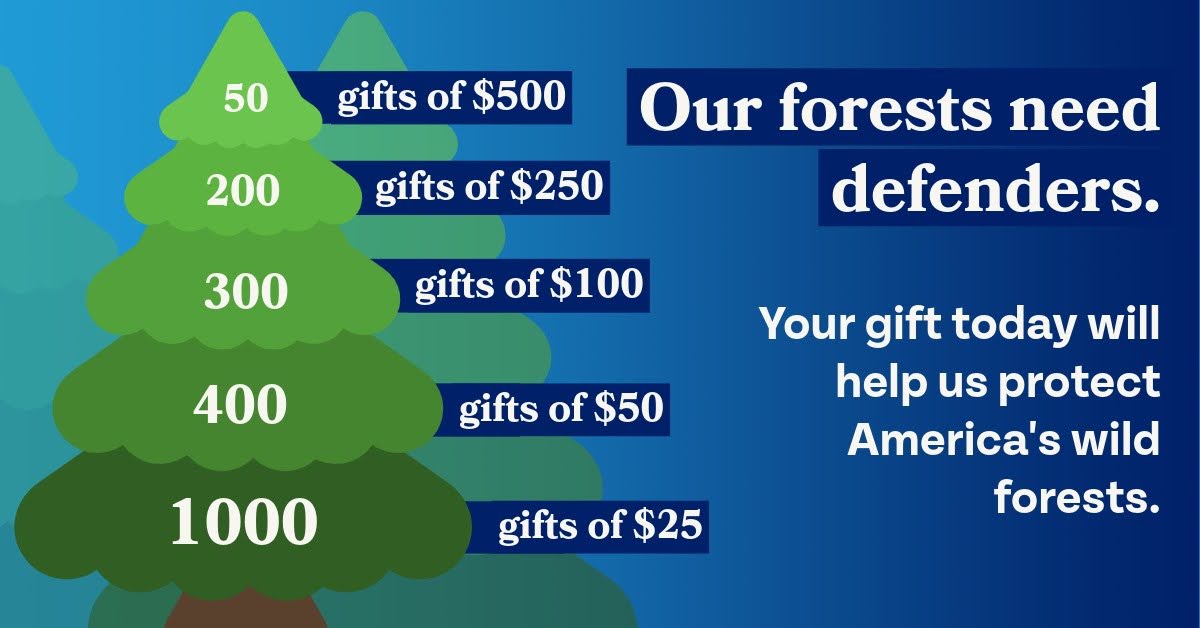 Our forests need defenders. Your gift today will help us protect America's wild forests.