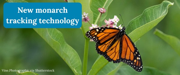 New monarch tracking technology