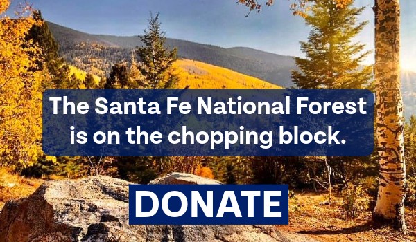 National forests in 36 states and Puerto Rico are on the chopping block