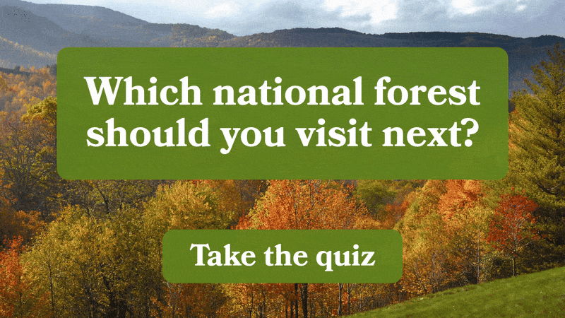 Which national forest should you visit next? Take the quiz