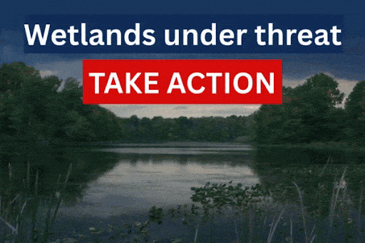 Wetlands under threat. Take Action